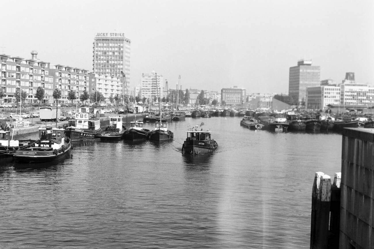 Cutters and launches at Rotterdam port: A variety of cutters and launches at Rotterdam port in 1971.