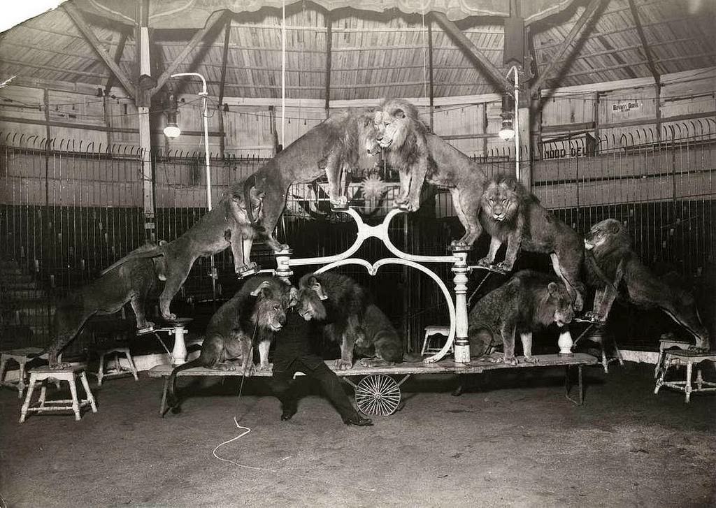 Stunning Historical Photos of Circuses in Netherlands from the Early 20th Century