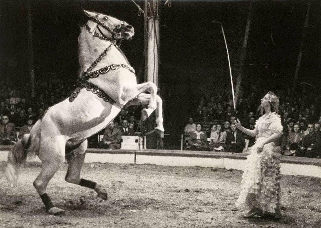 Stunning Historical Photos of Circuses in Netherlands from the Early 20th Century