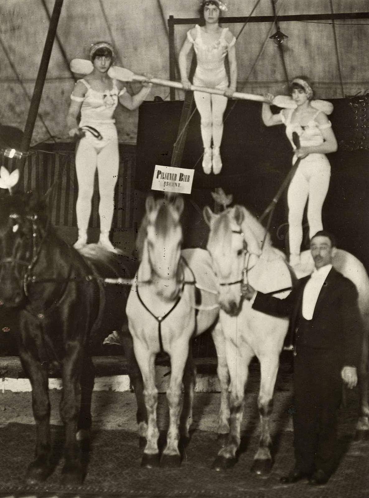 Stunning Historical Photos of Circuses in Netherlands from the Early 20th Century