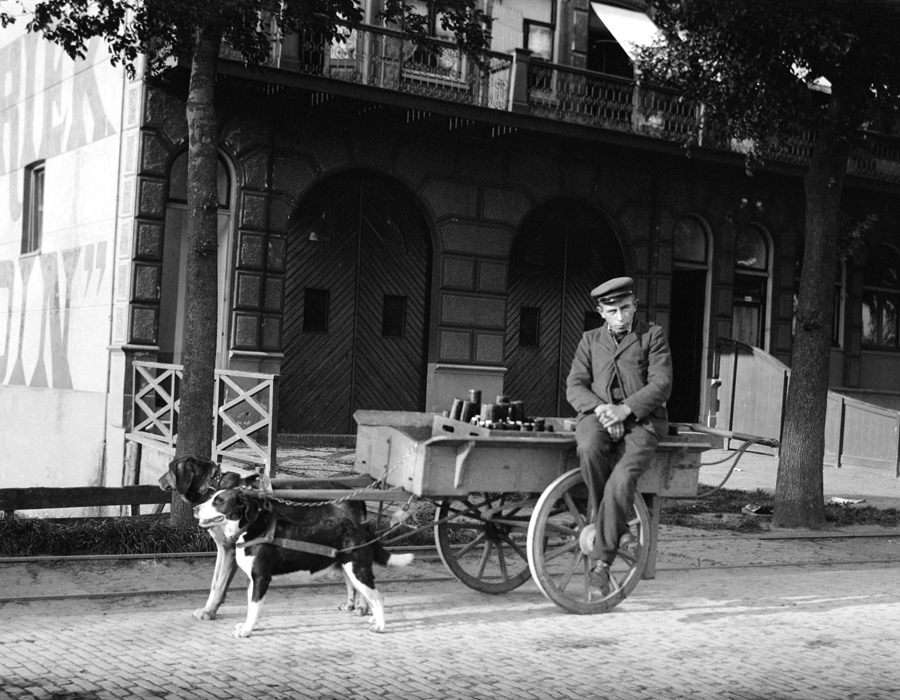 Man with dog cart.