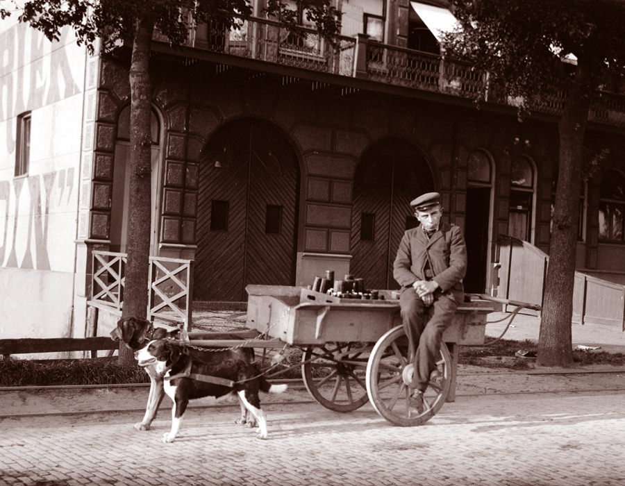 Man with dog cart