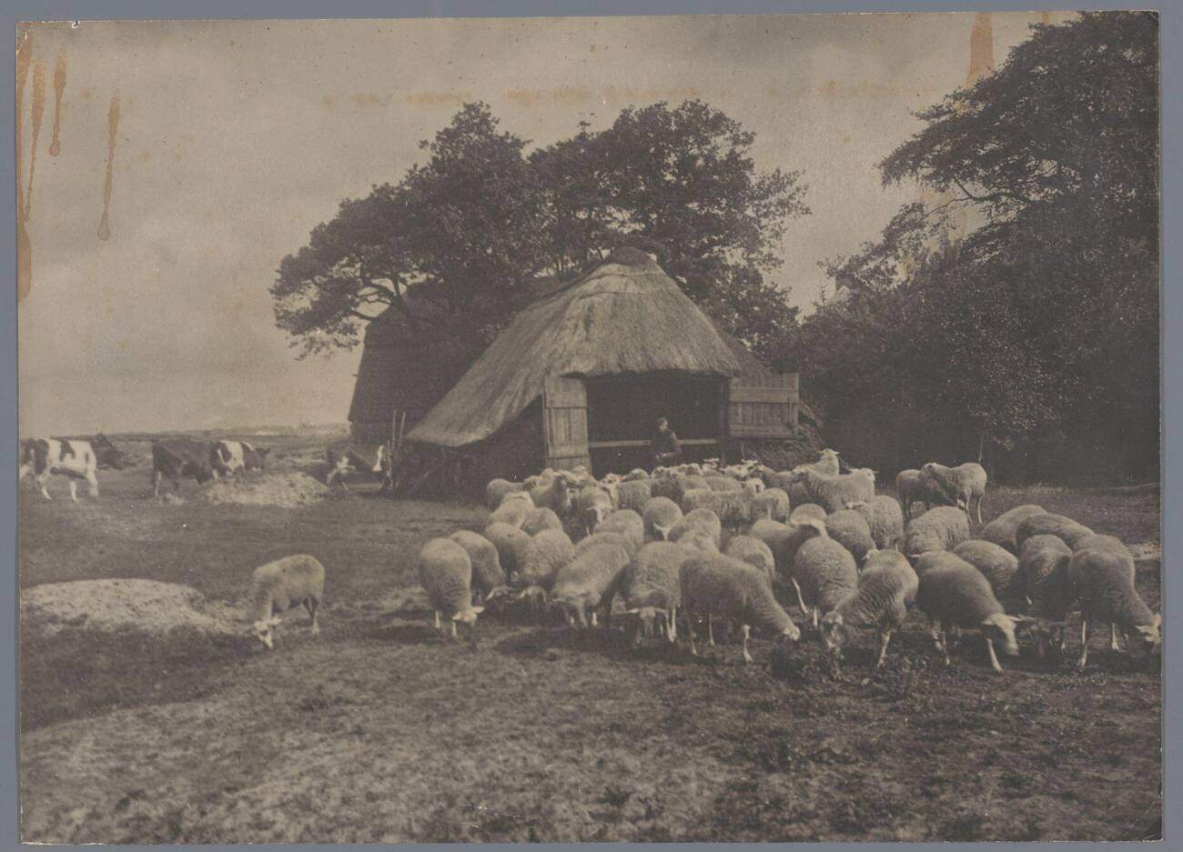 The Sheepfold Landscape with sheep, cows, farmer and sheep farm, Netherlands, 1900