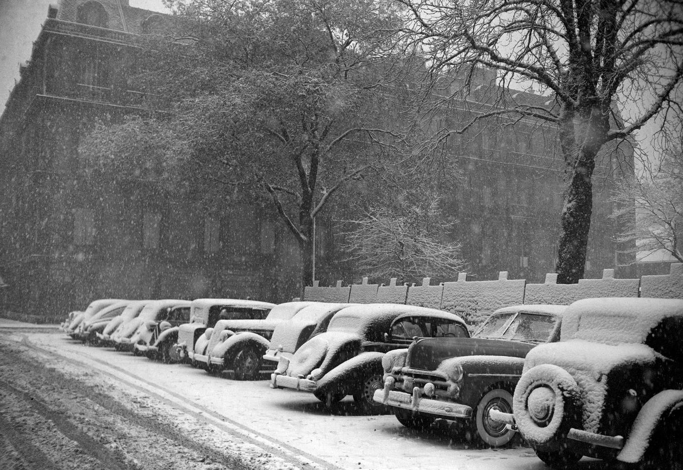 Cars Covered With Snow in a Paris Street, 1952