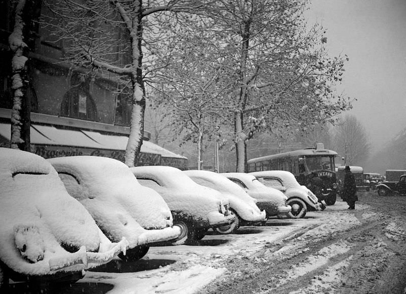 Snow-covered cars, 1952.