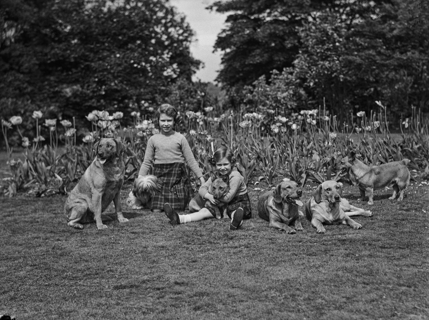 The Royal Princesses Margaret and Elizabeth with their dogs, including Pembroke Welsh Corgi dogs Dookie and Jane and Tibetan Lion Choo-Choo, at the Royal Lodge