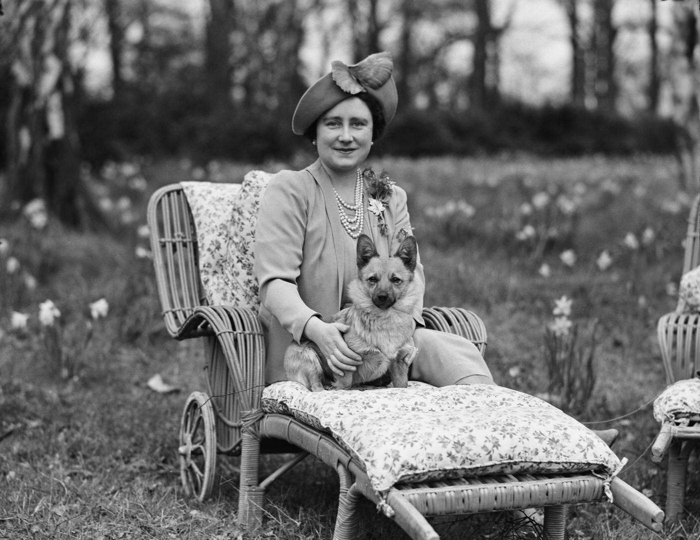 Queen Elizabeth with a Pembroke Welsh Corgi dog at Royal Lodge, Windsor Great Park, April 1940.