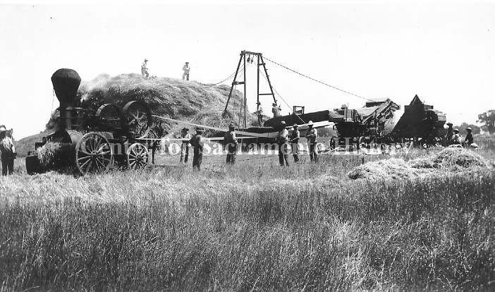 Ranch workers stack hay in large pile with help of steam-powered machinery, 1895