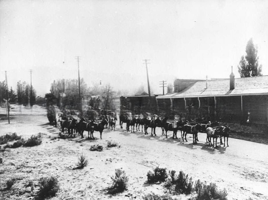Two twelve horse hitch freight wagons parked next to a railroad depot, 1890