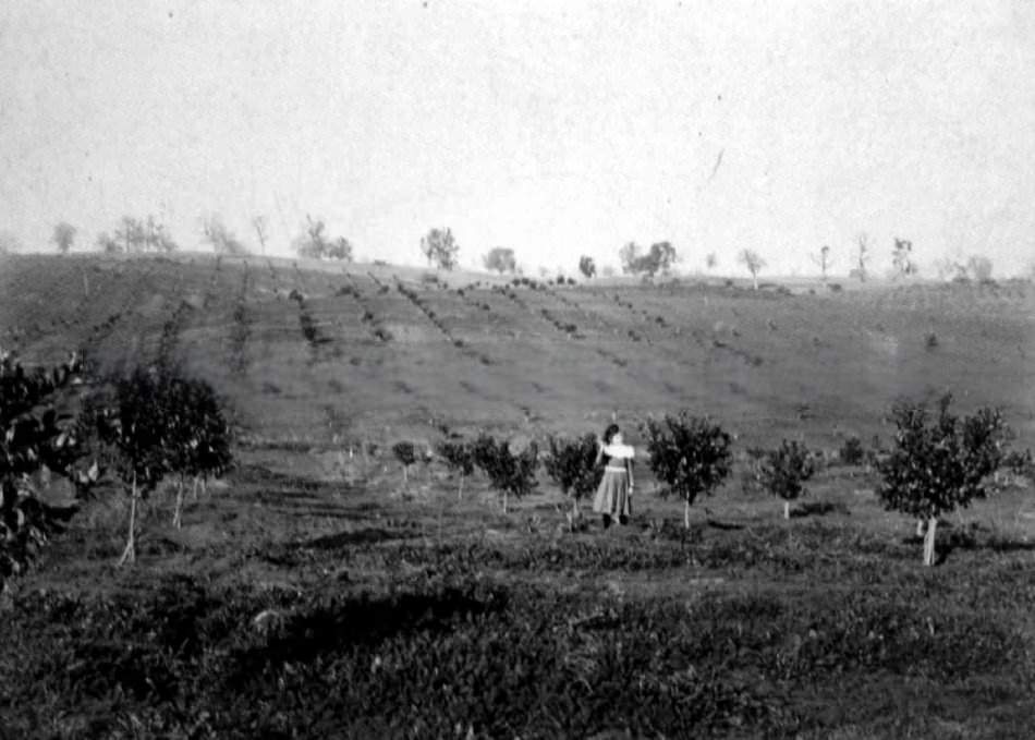 W. R. Gore's Ranch on Sunset Avenue, 1897