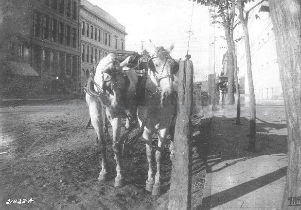 Weinstocks-Lubin Delivery Carriage, 1895