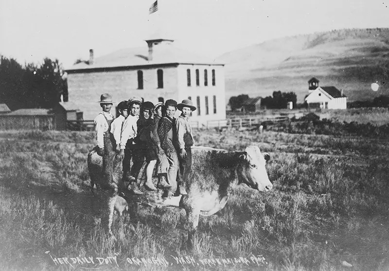 In 1907, a cow is used to transport seven children to school in Okanogan, Washington.