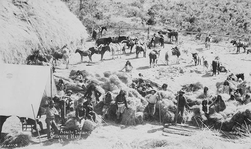 Apaches are depicted delivering hay to American settlers in Arizona in 1893.