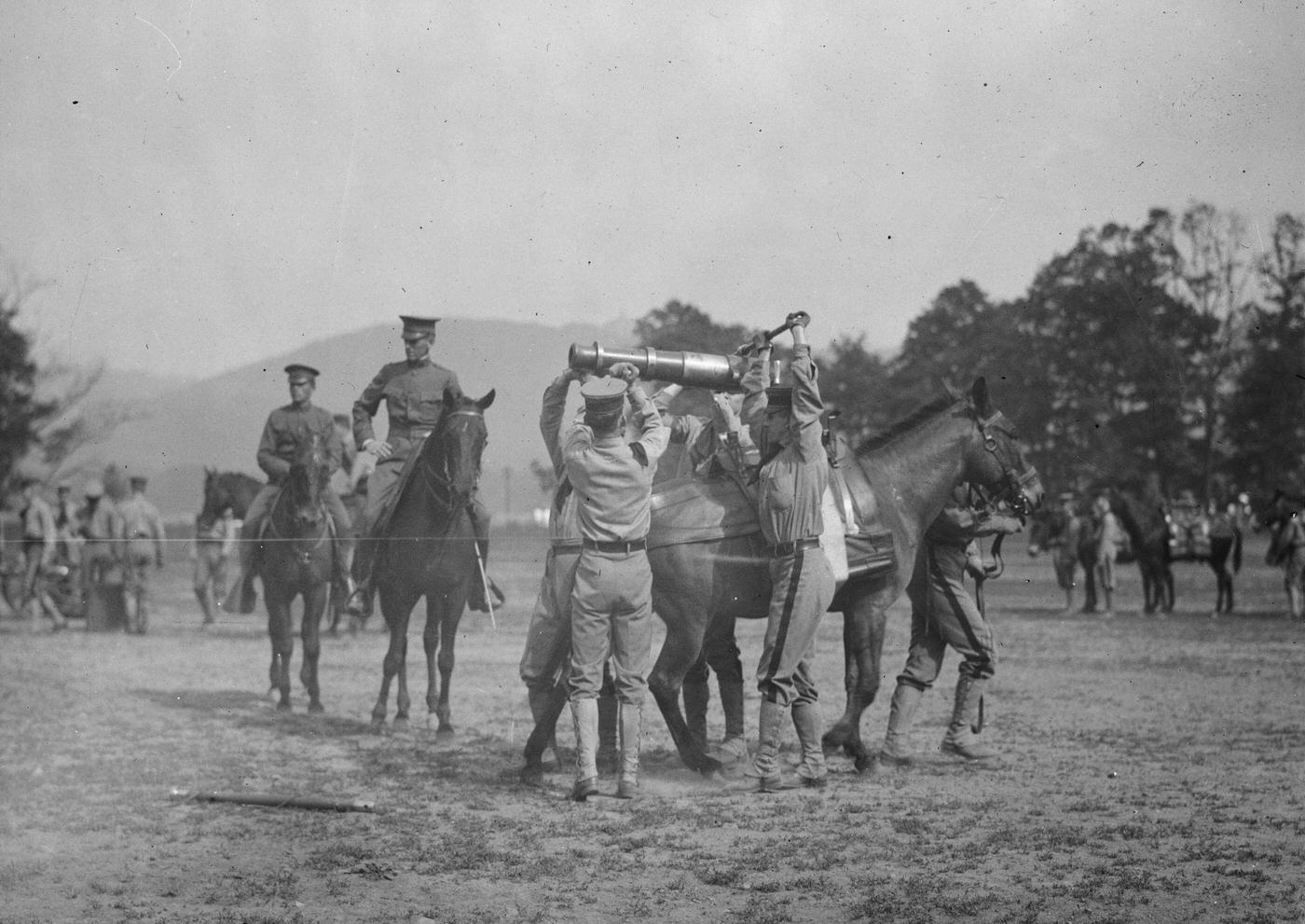 Army Cadets Lift Large Artillery Piece from a Horse as part of their training under the watchful eye of mounted Instructors, 1900