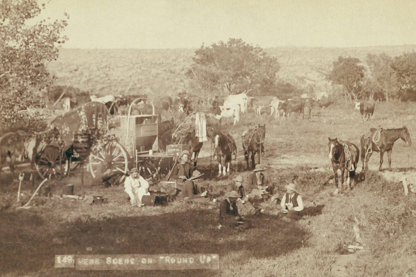 Mess scene on "round up", United States, 1890: Cowboys eating near chuck wagon; small groups of horses and cattle in campsite.