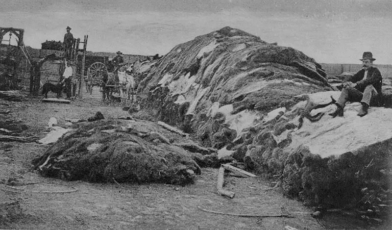 A photograph of the buffalo hide yard in Dodge City, Kansas in 1878, showing 40,000 buffalo hides.
