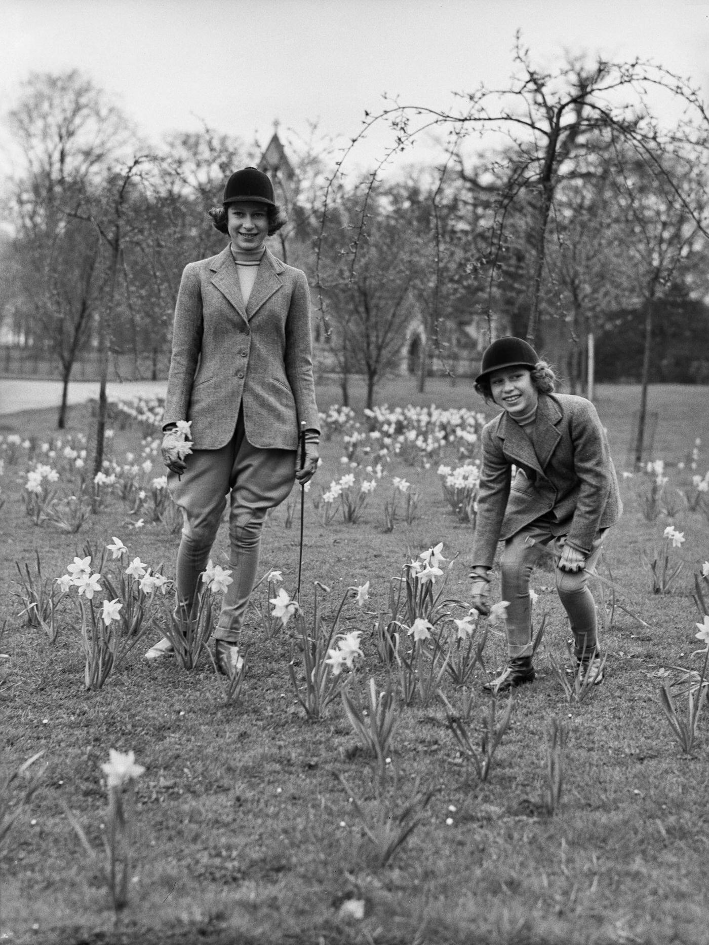 The Royal Princesses Elizabeth and Margaret in horsewomen clothes standing in a daffodils field, UK, 1940.