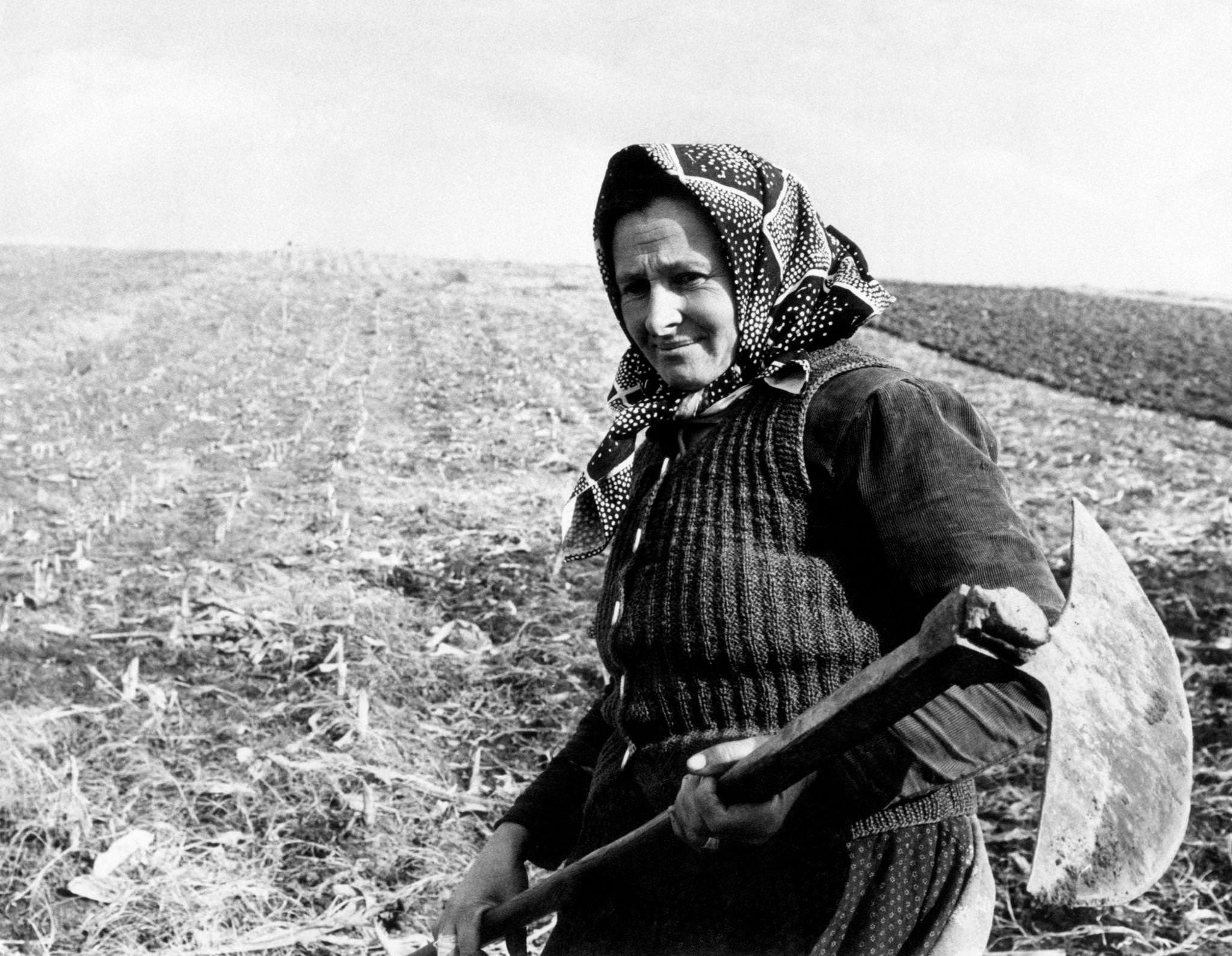 A countrywoman at work in a field with a spade, 20 km far from the capital city of Belgrade, Serbia, 1965