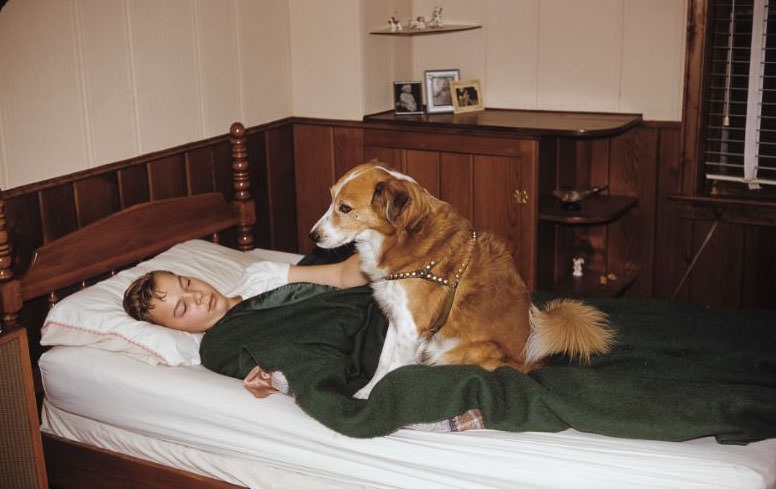 A Family Album Chronicles Life in 1960s America