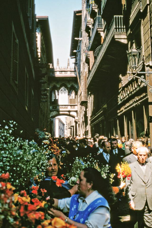 At the Southern end of Carrer de Jaume II, Palma, Mallorca.