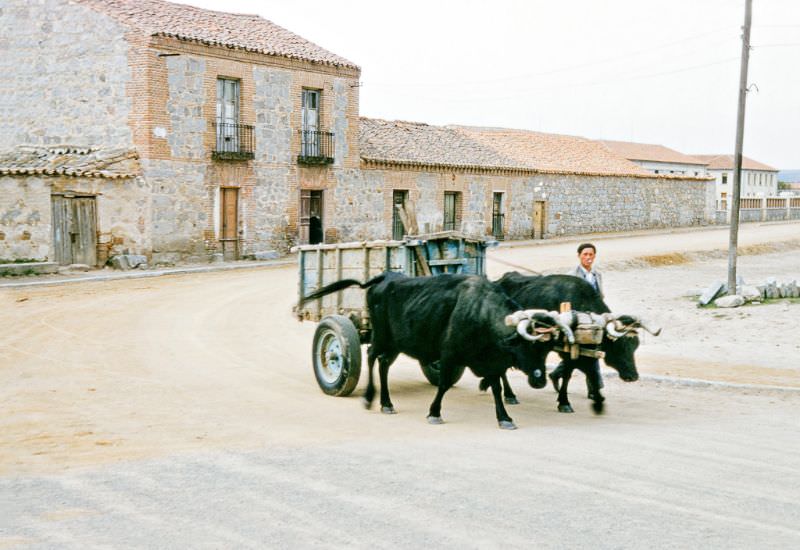 1950s Spain: 50+ Fabulous Photos Capturing Cities, Streets And Everyday Life