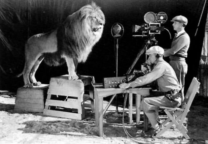 Logo shots for Metro Goldwyn Mayer in 1928