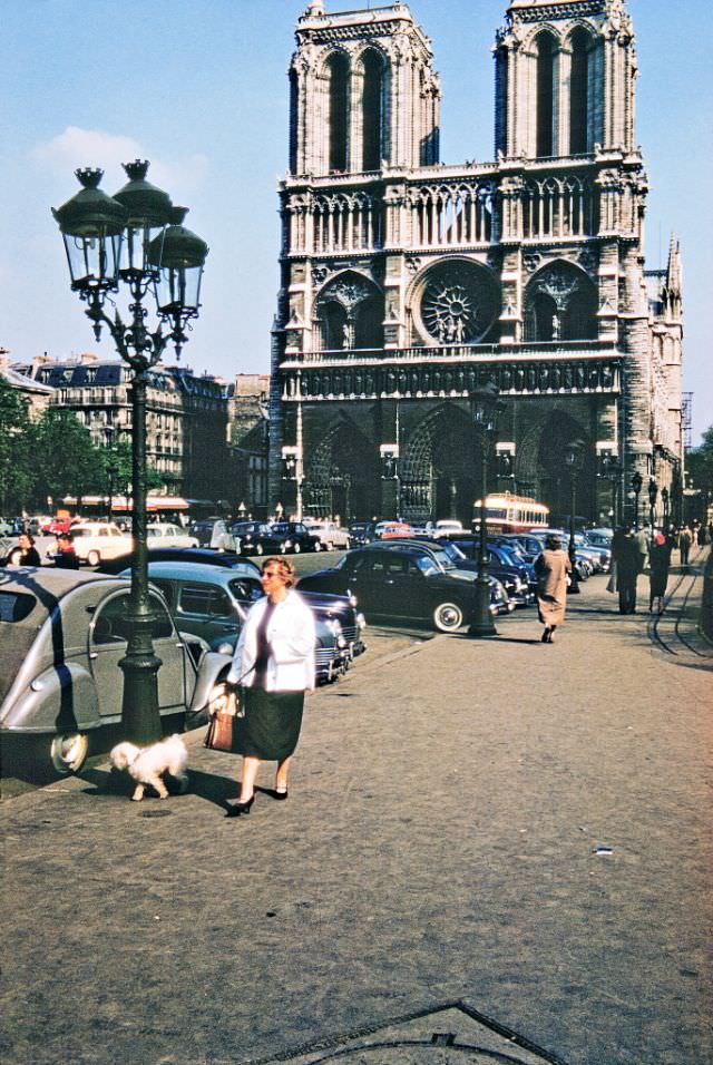 Woman & dog near Notre Dame Cathedral, Paris.