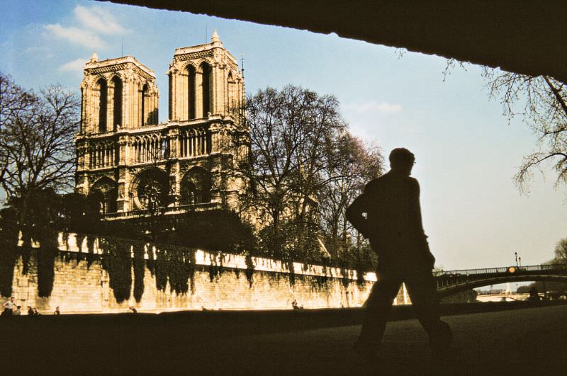 View from under the Petit Pont of Notre Dame Cathedral, Paris.