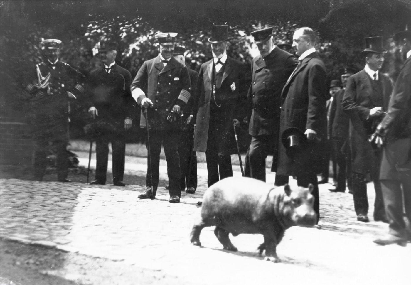 Wilhelm II., German Kaiser, with Carl Hagenbeck at the Tierpark in Stellingen/Hamburg, 1911