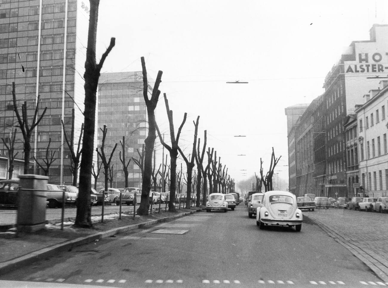 Trimmed trees in front of the BAT House on Esplanade street in Hamburg, Germany in 1970.