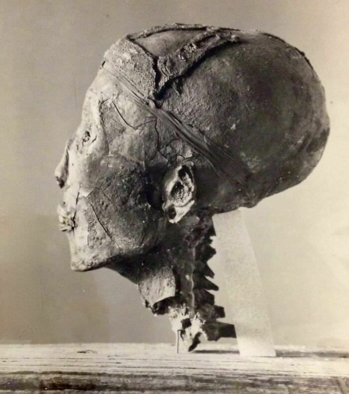 Tutankhamun's head. Harry burrton photo published dec. 1925.