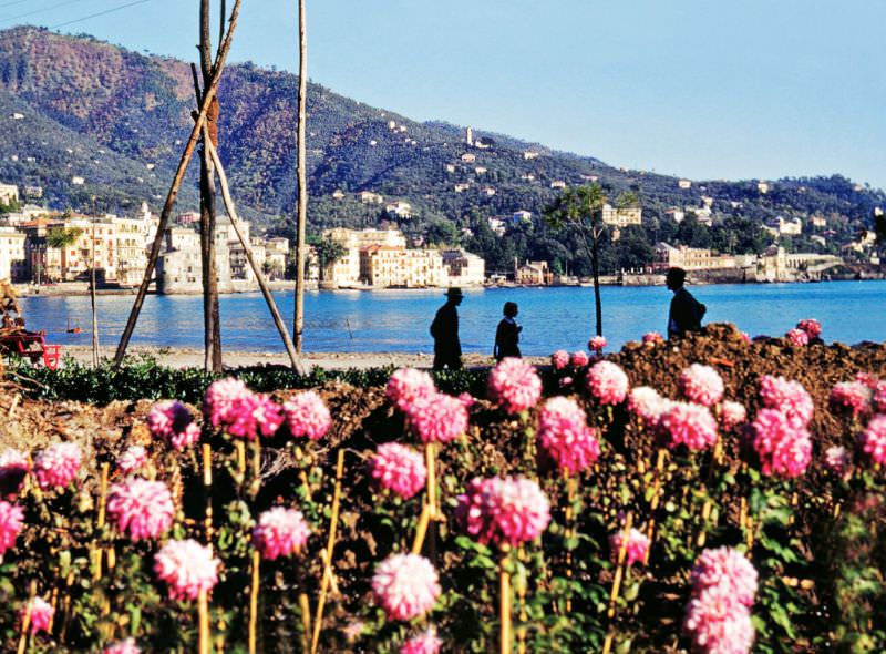 Rapallo, Liguria.