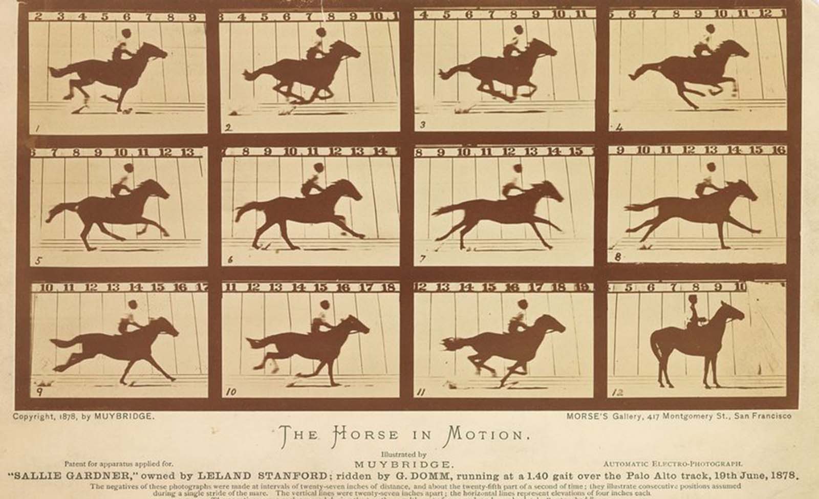 The Horse In Motion, 1878