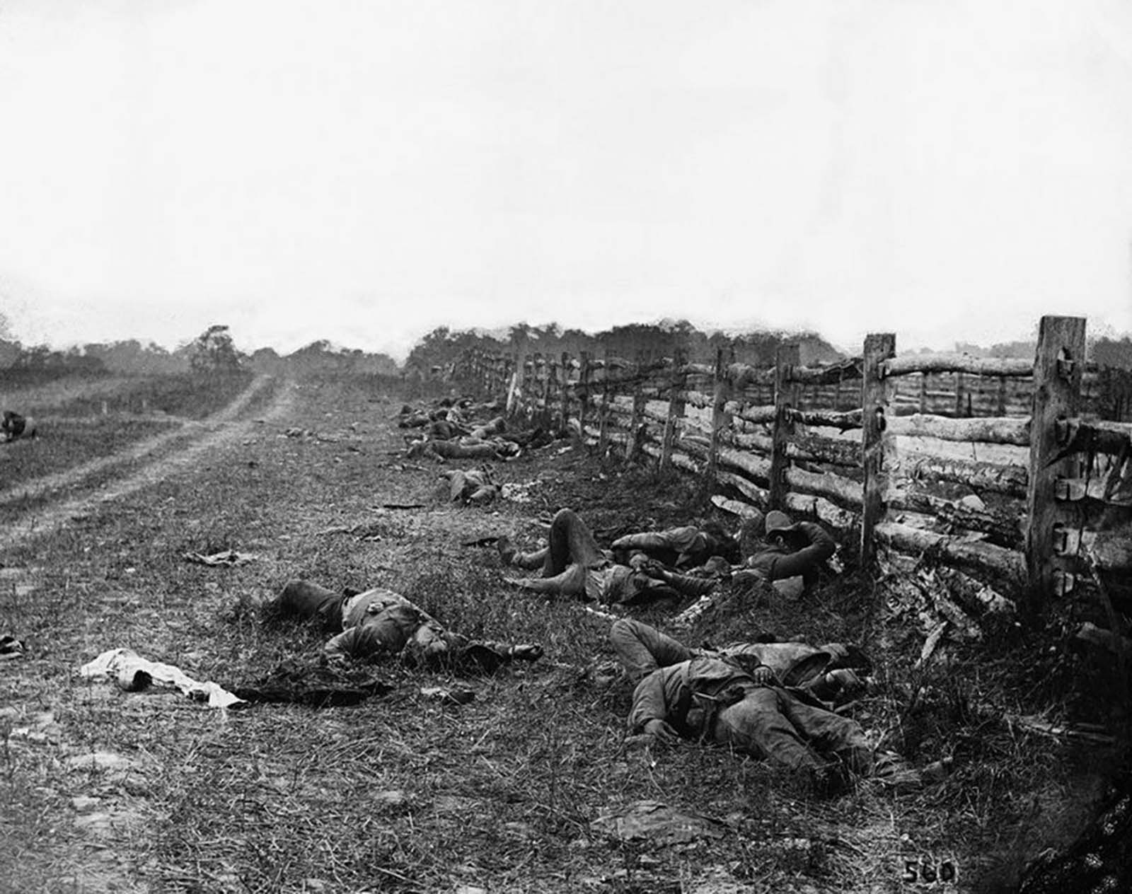 The Dead of Antietam, 1862