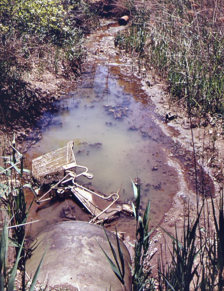 Clogged stream at entrance to great kills park on staten island. Area has been placed under jurisdiction of the gateway national park. It will be developed for camping and environmental education, 1970s