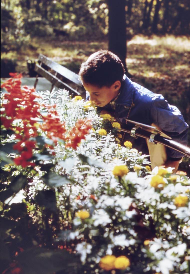 At high rock park on staten island, a member of a group from a new york city public school takes a close look at a bed of flowers. School children are frequent visitors to the park, 1970s