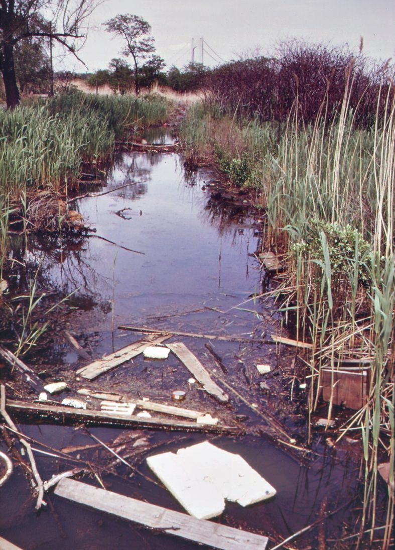 Swamp area near south beach, staten island. Towers of verrazano-narrows bridge in background, 1970s