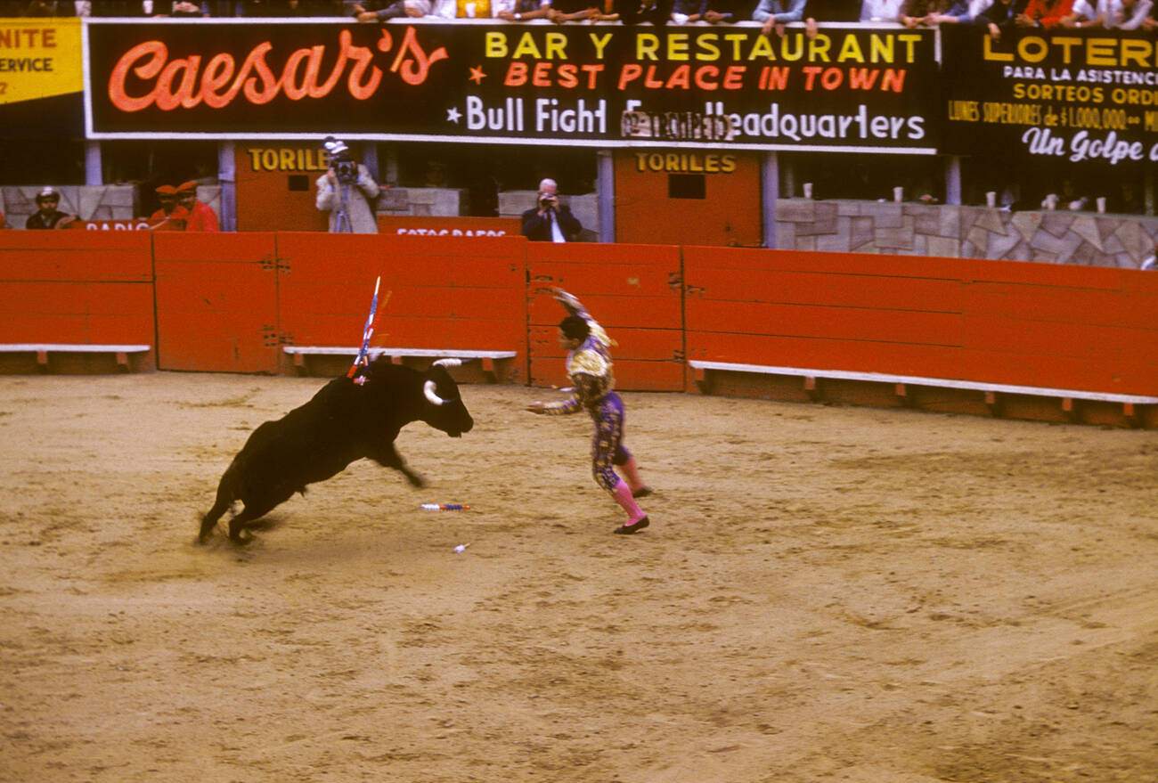 A man fights a bull in Tijuana, Mexico in 1960.