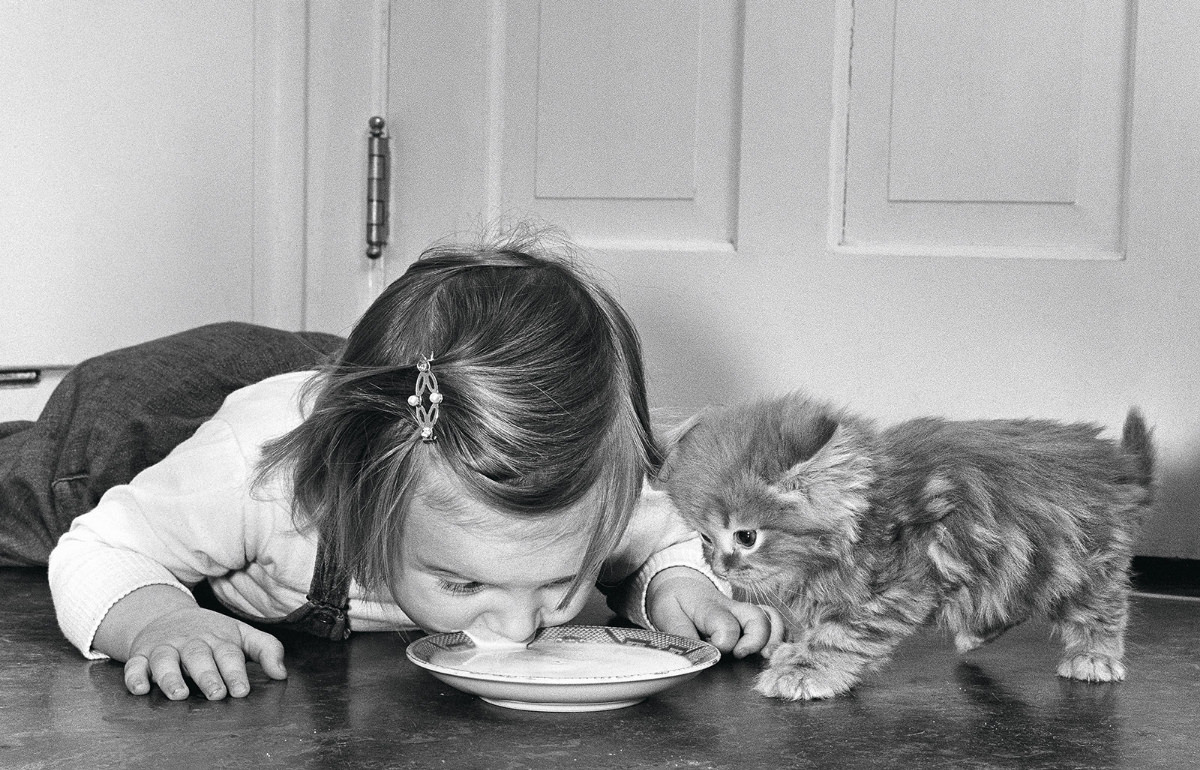 Chiara Chandoha drinks milk next to a kitten in 1961. She is one of the daughters of legendary cat photographer Walter Chandoha.