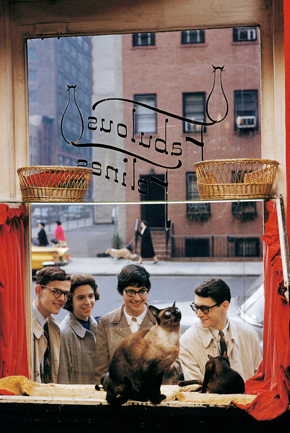 Onlookers at Fabulous Felines pet store, New York City, 1961.