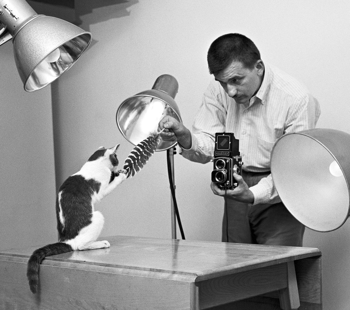 An early photoshoot between photographer and subject, taken in Chandoha’s Long Island home studio in 1955.