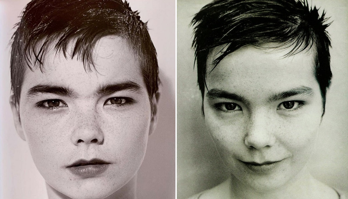 Björk's Iconic Pixie Cut