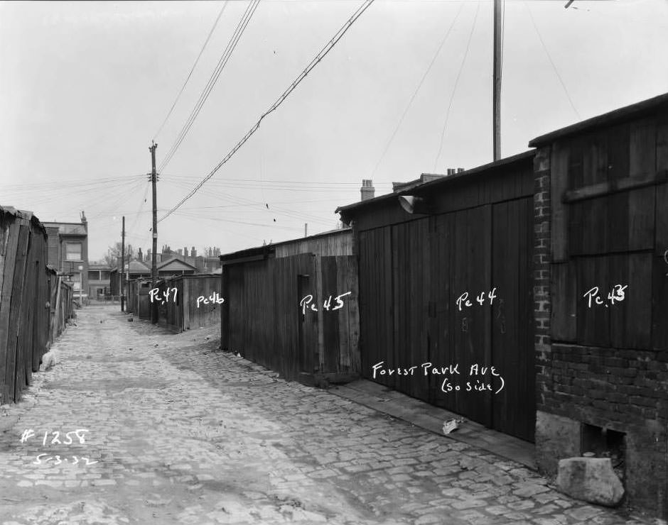 View of sheds and garages on Forest Park Ave. alley, south side, 1932.