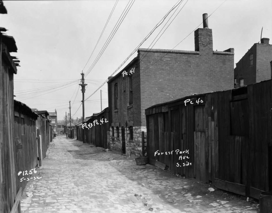 View of sheds and garages on Forest Park Ave. alley, south side, 1932.