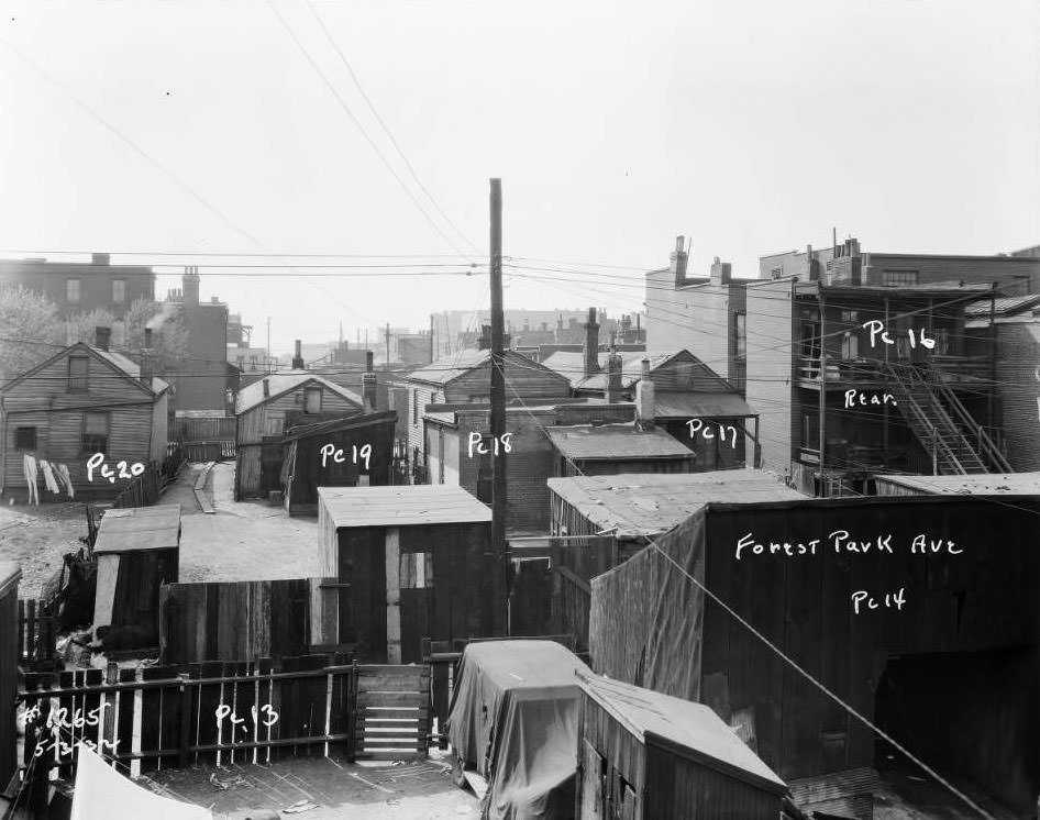 View of backyards on Forest Park Ave., 1932.