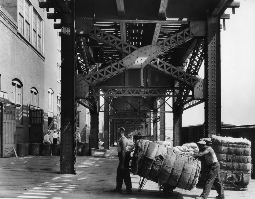 Loading and unloading of cotton bales on Wharf Street near Poplar, a common activity on the riverfront, 1930