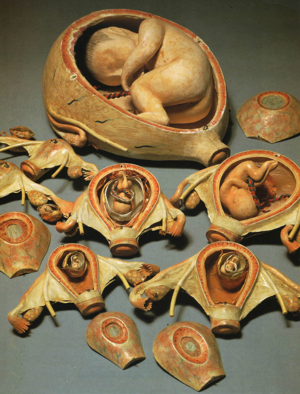 19th Century Japanese Pregnancy Dolls: A Fascinating Peek into Edo Period Sideshow Attractions
