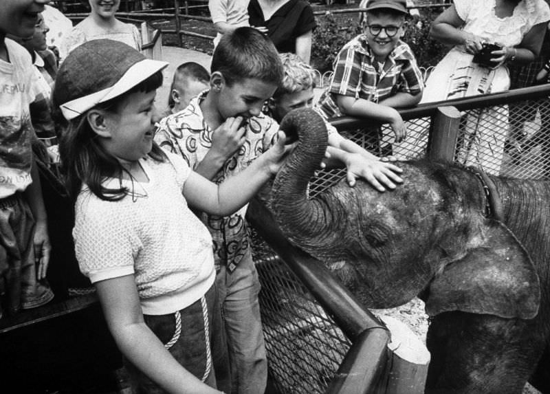 “He feels funny,” one child remarked about the elephant.