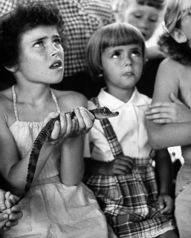 Children visited Brookfield Children’s Zoo in Chicago, 1953.