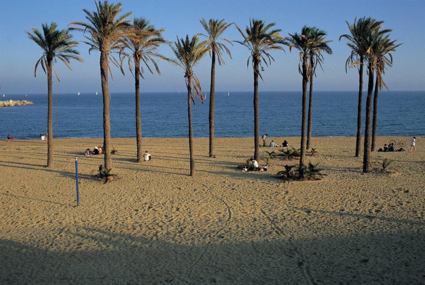Beach of Barcelona People taking sunbaths in a beach of Barcelona